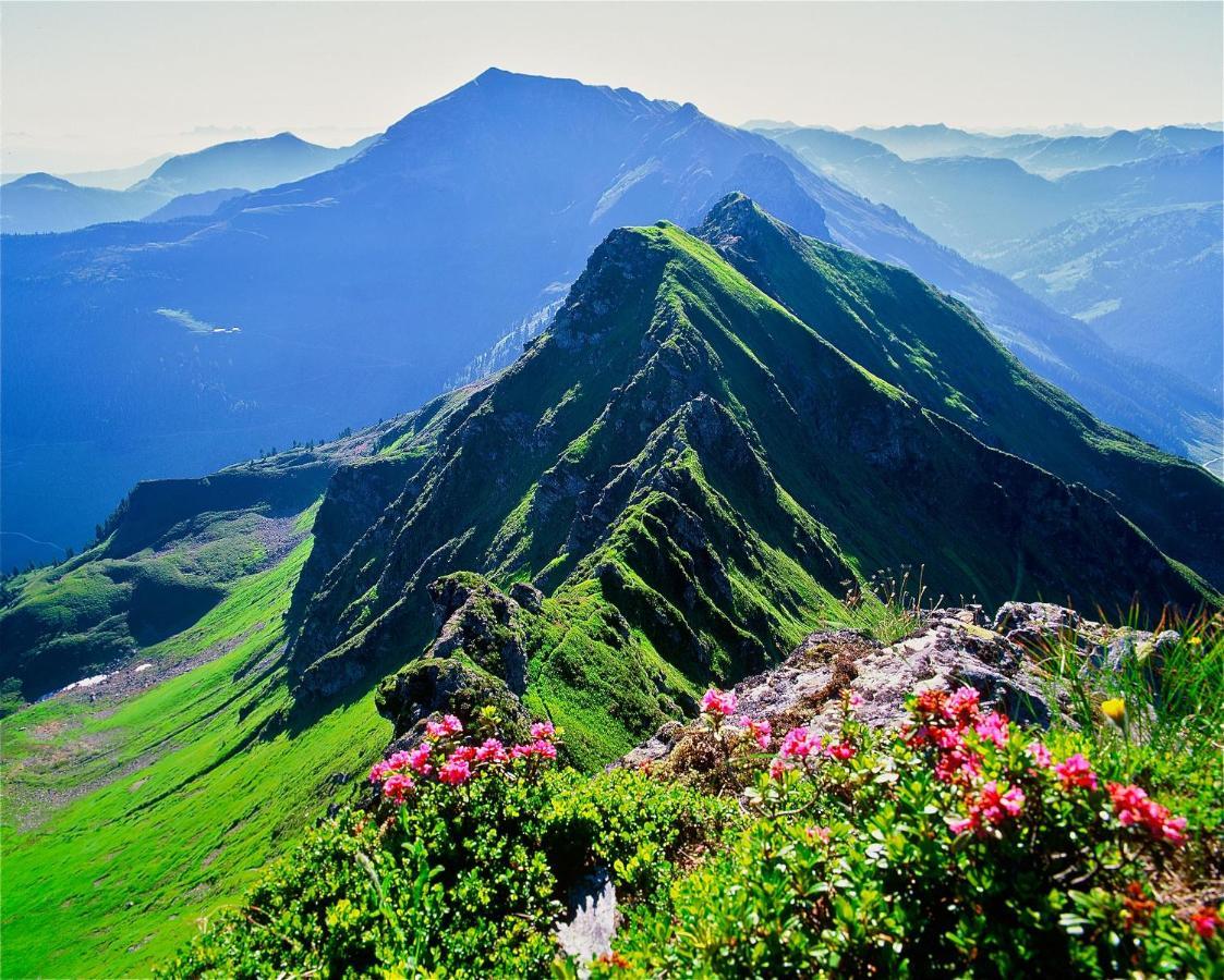 Apartment Haus Schoenwies Alpbach Zewnętrze zdjęcie
