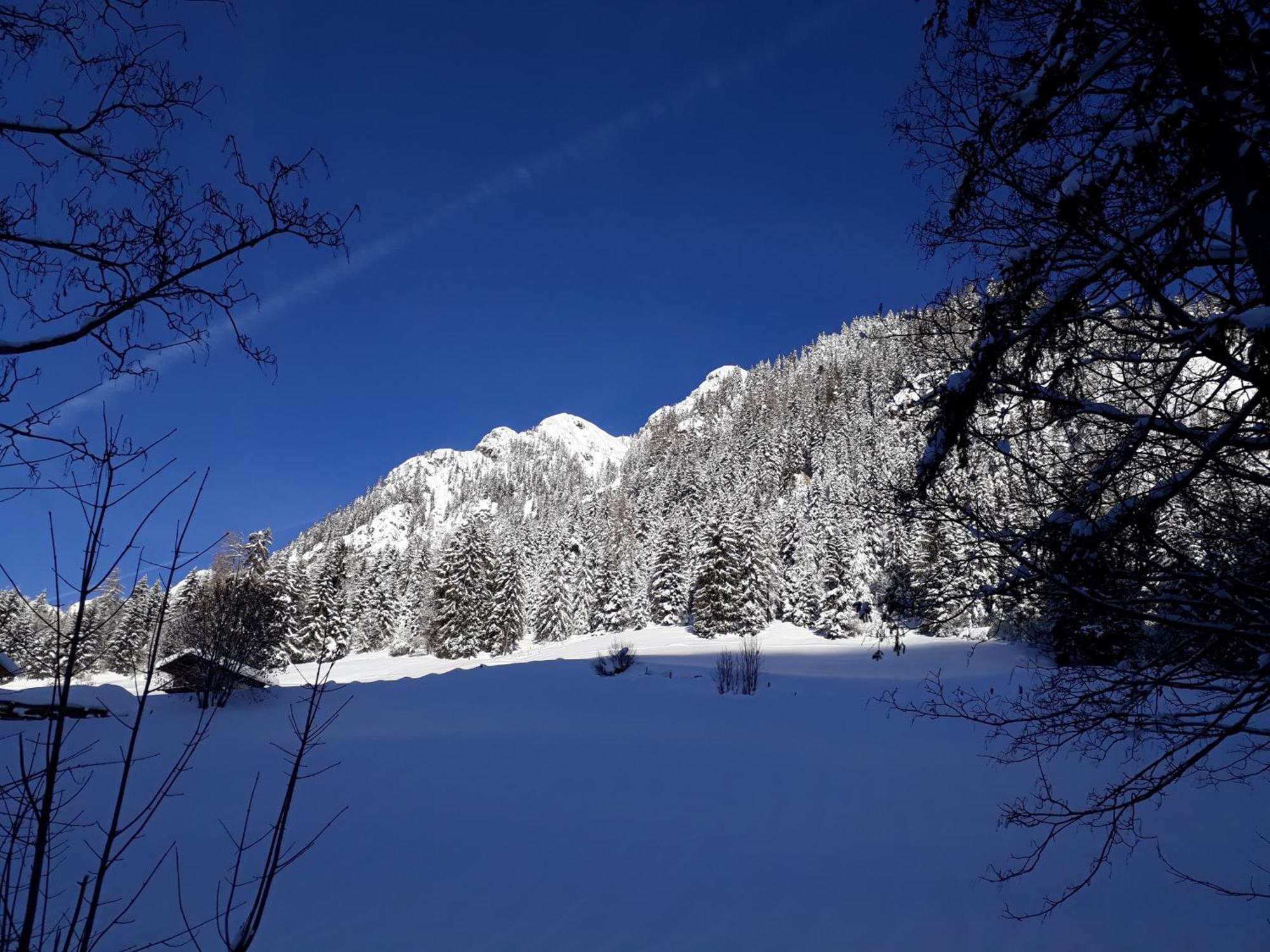 Apartment Haus Schoenwies Alpbach Zewnętrze zdjęcie