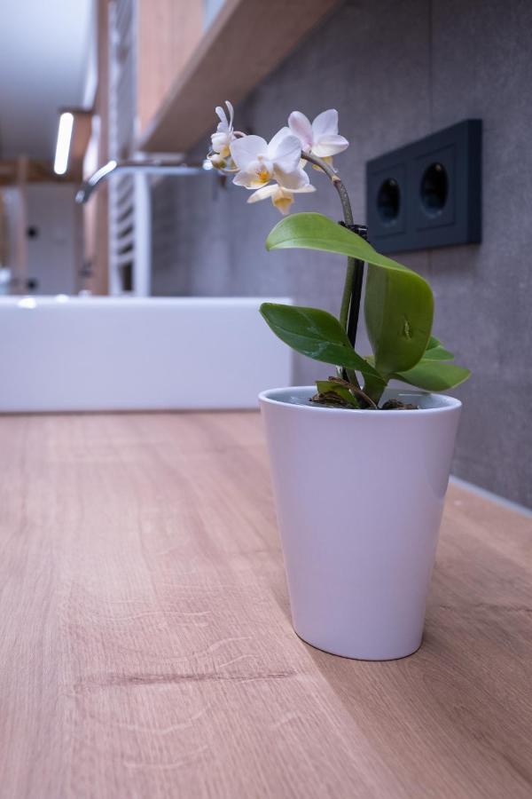 Apartment Haus Schoenwies Alpbach Zewnętrze zdjęcie
